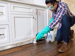 Best Pest Exclusion Services  in Englewood Cliffs, NJ